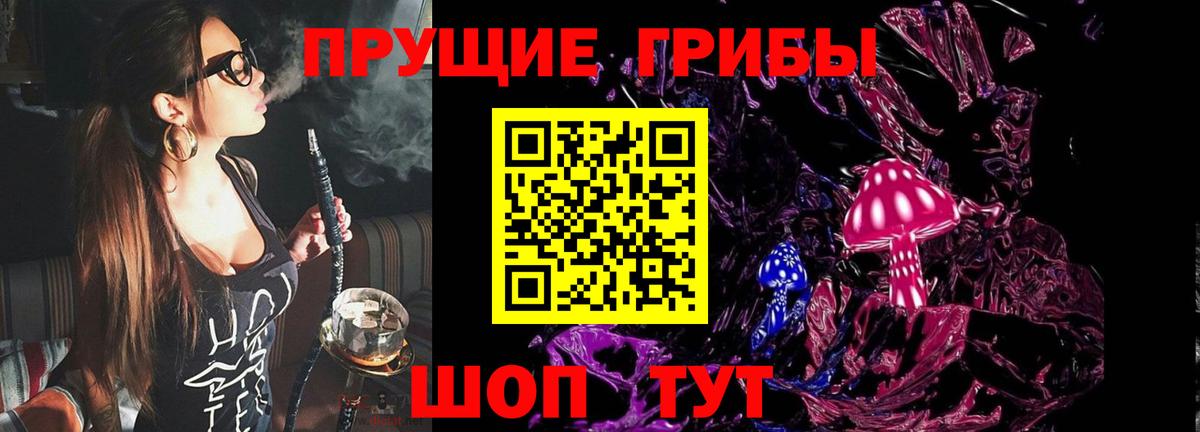 Псилоцибиновые грибы GOLDEN TEACHER  Псилоцибиновые грибы GOLDEN TEACHER  Узловая  Вход с VPN 