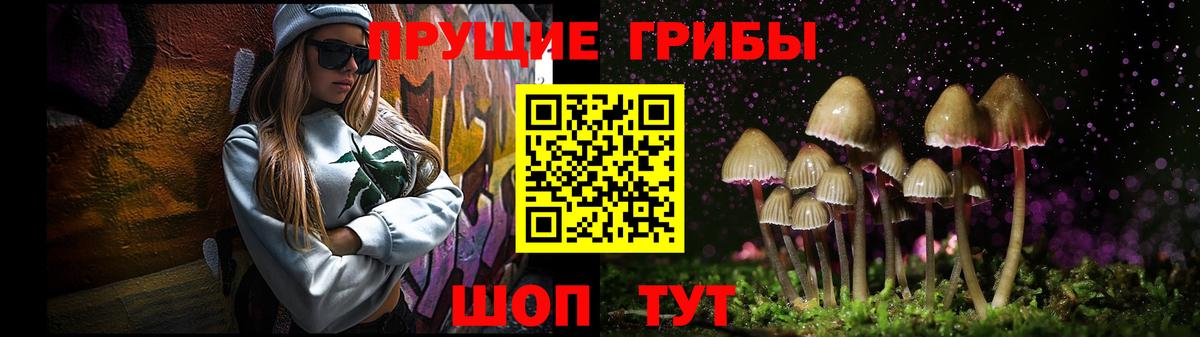 Псилоцибиновые грибы Psilocybine cubensis Узловая