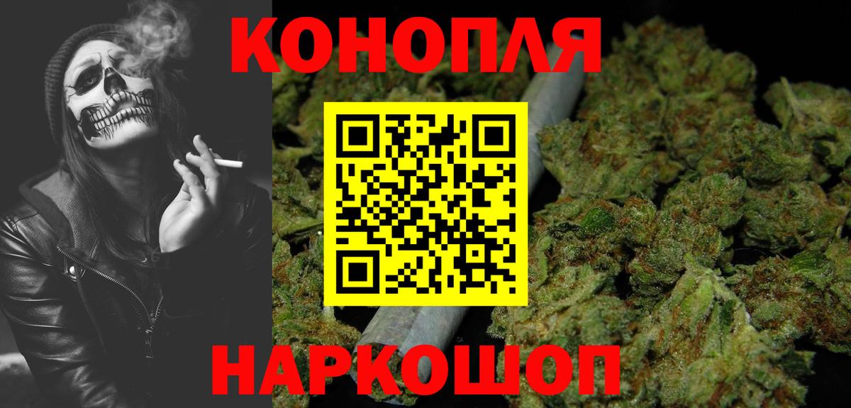Конопля планчик Узловая